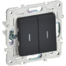Выключатель 2-клавишный IEK SKANDY 10А SK-V09G с индикацией графит SK-V20-1-10-K53